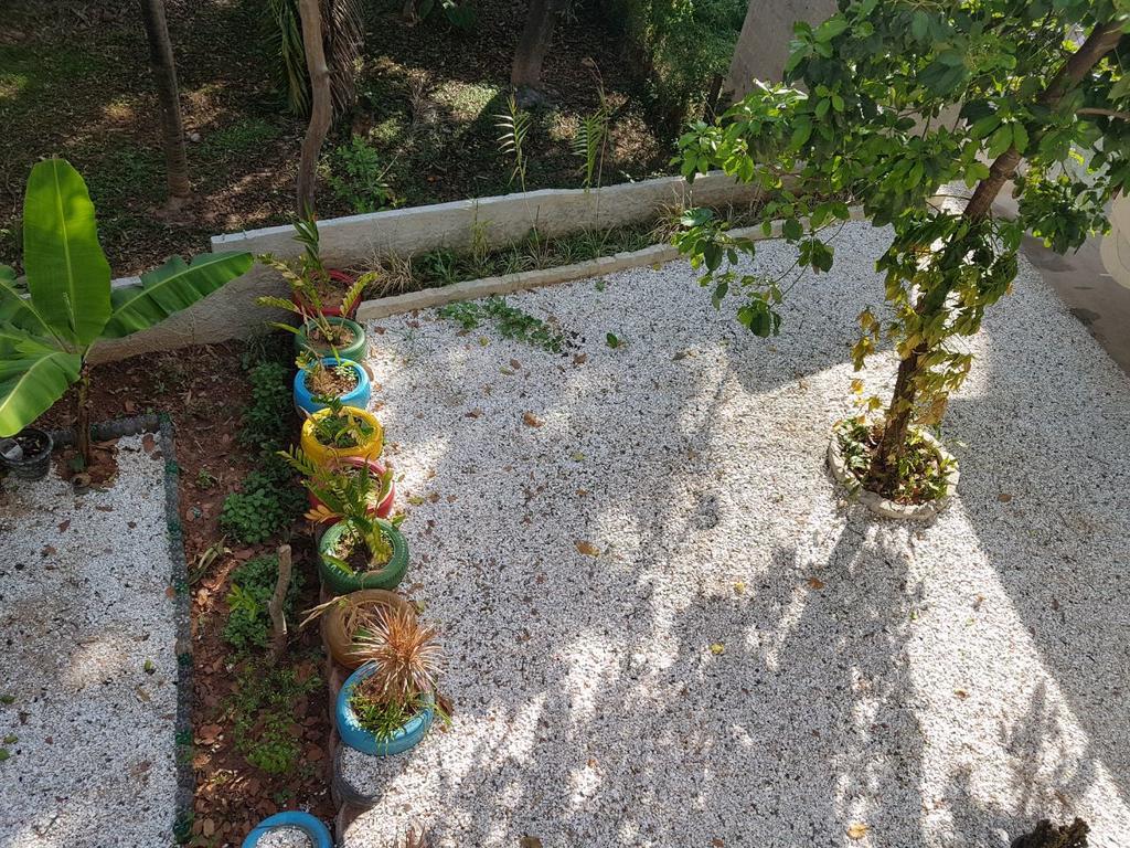 קאשויירו דו איטאפמירים Pousada E Hospedaria Regina מראה חיצוני תמונה